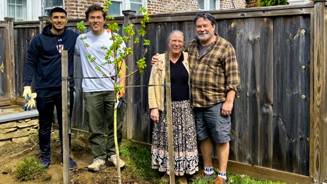 Tree Tenders