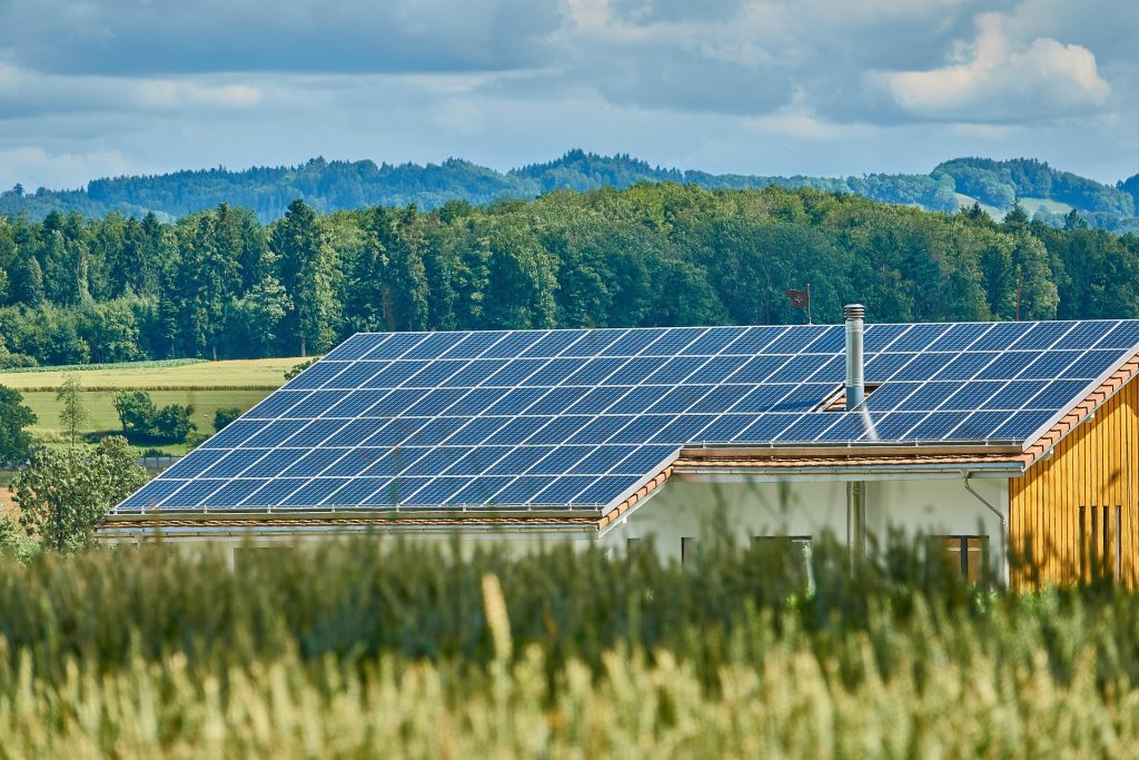 solar panels in a green field