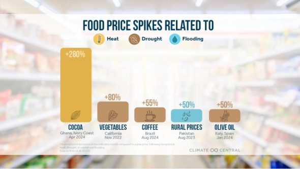 Food price spikes duet climate crisis