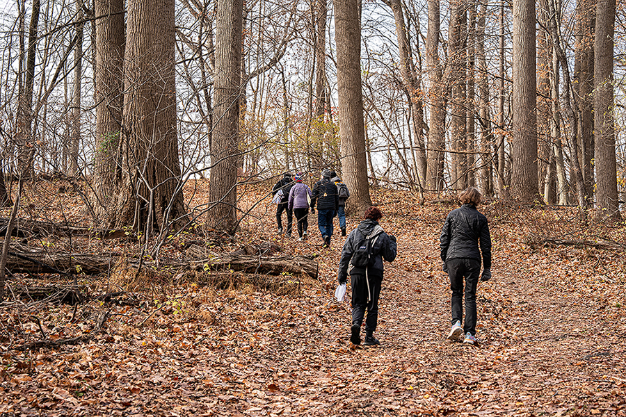 Thanksgiving Foraging